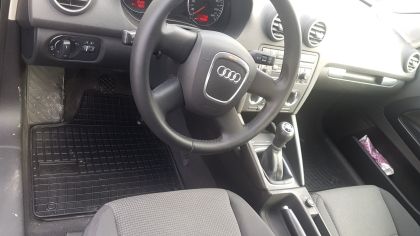 Гумени стелки за AUDI A3 8P (2003-2013), марка Frogum